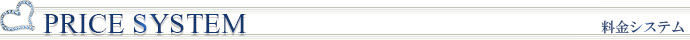 PRICE SYSTEMbVXe